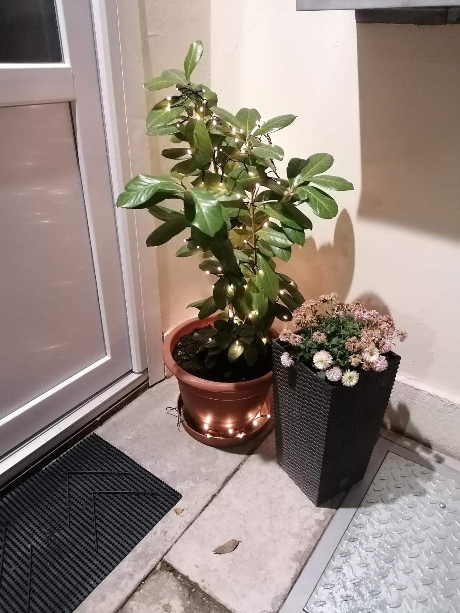 Mohacs Korona Apartman Экстерьер фото